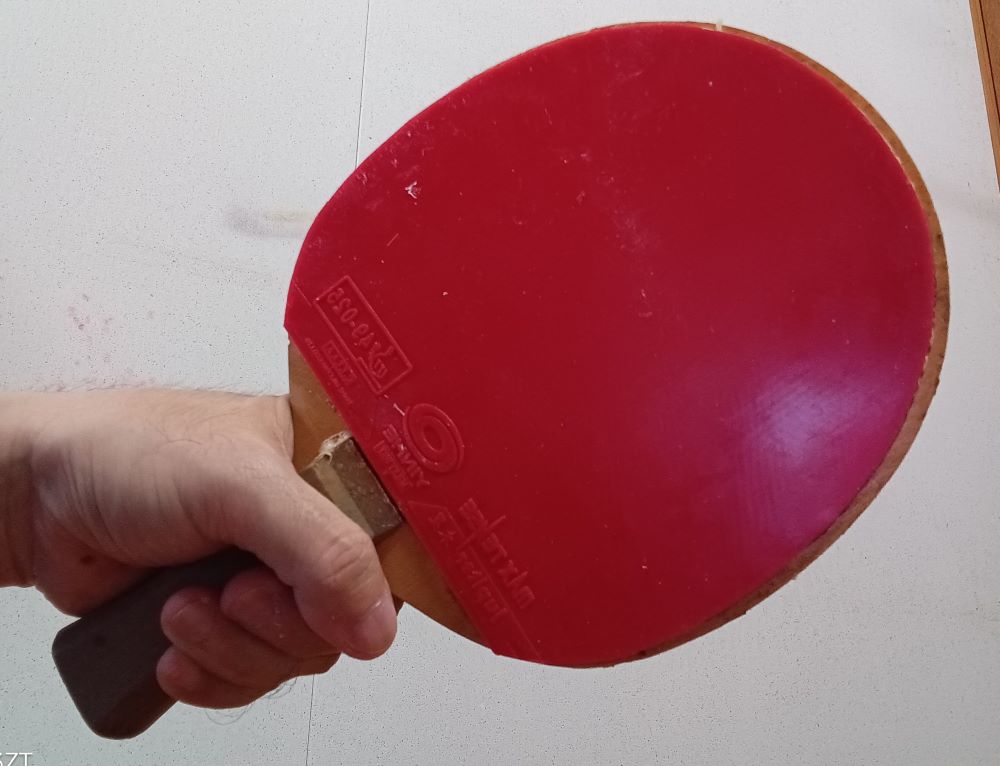 Shakehand grip viewed from the forehand side of a table tennis racket