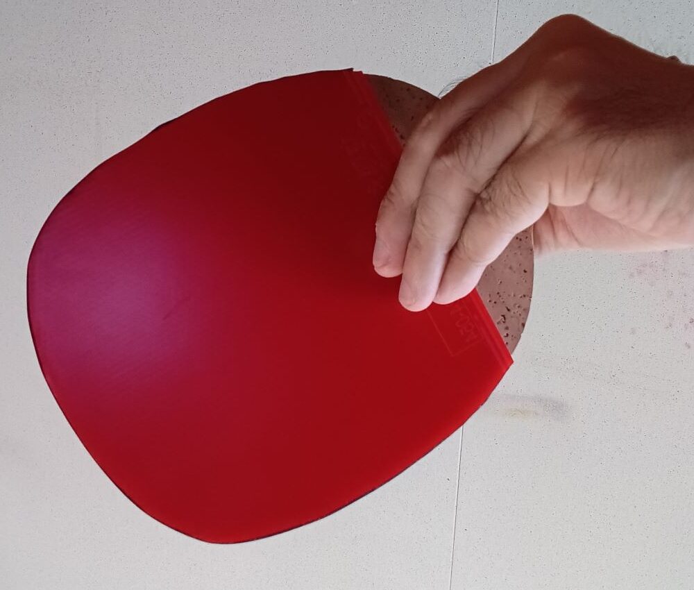 Penhold grip viewed from the backhand side of a table tennis racket